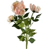 Mondex Since 1986 VIRIDIS chrizantema (x3) šakelė 70cm