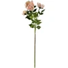 Mondex Since 1986 VIRIDIS chrizantema (x3) šakelė 70cm