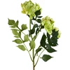 Mondex Since 1986 VIRIDIS chrizantema (x3) šakelė 70cm