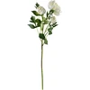 Mondex Since 1986 VIRIDIS chrizantema (x3) šakelė 70cm