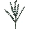 Mondex Since 1986 VIRIDIS Dirbtinė gėlė Eukaliptas 80cm