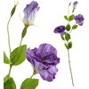 Mondex Since 1986 VIRIDIS Dirbtinė gėlė Eustoma 70cm gumuota