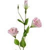 Mondex Since 1986 VIRIDIS Dirbtinė gėlė Eustoma 70cm gumuota