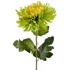 Mondex Since 1986 VIRIDIS dirbtinė gėlė chrizantema 75 cm žalia