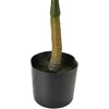 Mondex Since 1986 VIRIDIS Dirbtinė gėlė palmė žema 13x12x57cm vazone