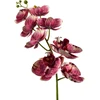Mondex Since 1986 VIRIDIS dirbtinė gėlė orchidėja 85 cm