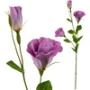 Mondex Since 1986 VIRIDIS Dirbtinė gėlė Eustoma 70cm gumuota