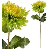 Mondex Since 1986 VIRIDIS dirbtinė gėlė chrizantema 75 cm žalia