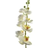 Mondex Since 1986 VIRIDIS dirbtinė gėlė orchidėja 85 cm balta
