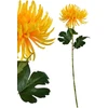 Mondex Since 1986 VIRIDIS Dirbtinė gėlė Chrizantemos šakelė 70 cm AW25