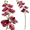 Mondex Since 1986 VIRIDIS dirbtinė gėlė orchidėja 85 cm