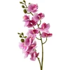Mondex Since 1986 VIRIDIS dirbtinė gėlė orchidėja 65 cm