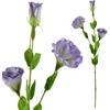 Mondex Since 1986 VIRIDIS Dirbtinė gėlė Eustoma 70cm gumuota