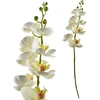Mondex Since 1986 VIRIDIS dirbtinė gėlė orchidėja 85 cm balta