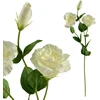 Mondex Since 1986 VIRIDIS Dirbtinė gėlė Eustoma 70cm gumuota