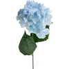 Mondex Since 1986 VIRIDIS Dirbtinė gėlė HYDRENSION 73cm