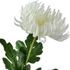 Mondex Since 1986 VIRIDIS Dirbtinė gėlė Chrizantemos šakelė 70 cm AW25