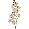 Mondex Since 1986 VIRIDIS dirbtinė gėlė orchidėja 65 cm