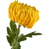 Mondex Since 1986 VIRIDIS Dirbtinė gėlė Chrizantemos šakelė 73 cm AW25
