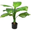 Mondex Since 1986 VIRIDIS Dirbtinė gėlė 80 cm vazone