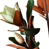 Mondex Since 1986 VIRIDIS Dirbtinė magnolija vazone 15x14x120cm