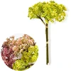 Mondex Since 1986 Przydasie VIRIDIS Dirbtinė gėlė Gypsophila kekė 5vnt 30cm