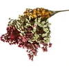 Mondex Since 1986 VIRIDIS dirbtinių gėlių puokštė 55 cm balta