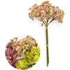 Mondex Since 1986 Przydasie VIRIDIS Dirbtinė gėlė Gypsophila kekė 5vnt 30cm