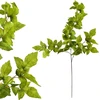Mondex Since 1986 VIRIDIS lapo šakelė 100 cm