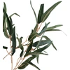 Mondex Since 1986 VIRIDIS Dekoratyvinė šakelė Lapai 80cm