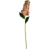Mondex Since 1986 VIRIDIS gėlė ilga hortenzija 80cm