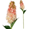 Mondex Since 1986 VIRIDIS gėlė ilga hortenzija 80cm