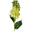 Mondex Since 1986 VIRIDIS gėlė ilga hortenzija 80cm