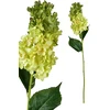 Mondex Since 1986 VIRIDIS gėlė ilga hortenzija 80cm