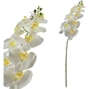 Mondex Since 1986 VIRIDIS Gėlių orchidėjos šakelė 90 cm balta