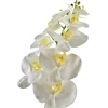 Mondex Since 1986 VIRIDIS Gėlių orchidėjos šakelė 90 cm balta