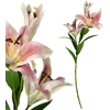 Mondex Since 1986 VIRIDIS Kwiat sztuczny LILIA 90cm