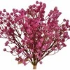 Mondex Since 1986 VIRIDIS dirbtinių gėlių gipsofilių puokštė x6 15x15x33 cm AW25