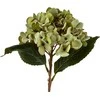 Mondex Since 1986 VIRIDIS dirbtinė gėlė hortenzija 47 cm AW25