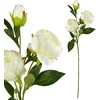 Mondex Since 1986 VIRIDIS Kwiat sztuczny Piwonia 70cm
