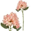 Mondex Since 1986 VIRIDIS dirbtinė gėlė hortenzija 52 cm AW25