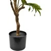 Mondex Since 1986 VIRIDIS Kwiat sztuczny Oliwka 115cm drzwko w doniczce