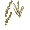 Mondex Since 1986 VIRIDIS Dirbtinė gėlė Eukalipto šakelė 80 cm AW25