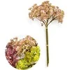 Mondex Since 1986 Przydasie VIRIDIS Dirbtinė gėlė Gypsophila kekė 5vnt 30cm