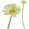 Mondex Since 1986 VIRIDIS kwiat sztuczny Gerbera 67cm