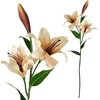 Mondex Since 1986 VIRIDIS Kwiat sztuczny LILIA 85cm