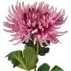 Mondex Since 1986 VIRIDIS Dirbtinė gėlė Chrizantemos šakelė 70 cm AW25