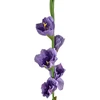 Mondex Since 1986 VIRIDIS Kwiat sztuczny Mieczyk 85cm gumowany