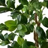 Mondex Since 1986 VIRIDIS Kwiat sztuczny 115cm w doniczce