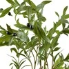 Mondex Since 1986 VIRIDIS Kwiat sztuczny Oliwka 115cm drzwko w doniczce